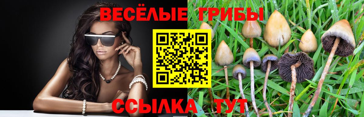 Псилоцибиновые грибы Psilocybine cubensis  Вход с VPN  Донецк 